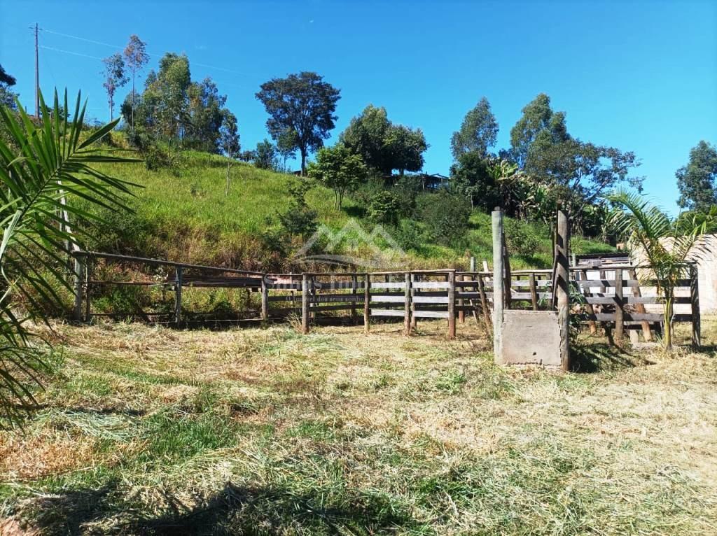 Fazenda, 8000 m² - Foto 2