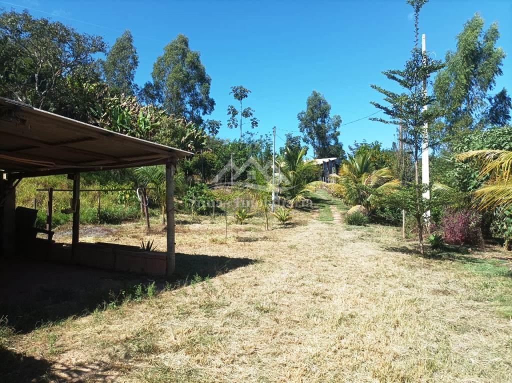 Fazenda, 8000 m² - Foto 5