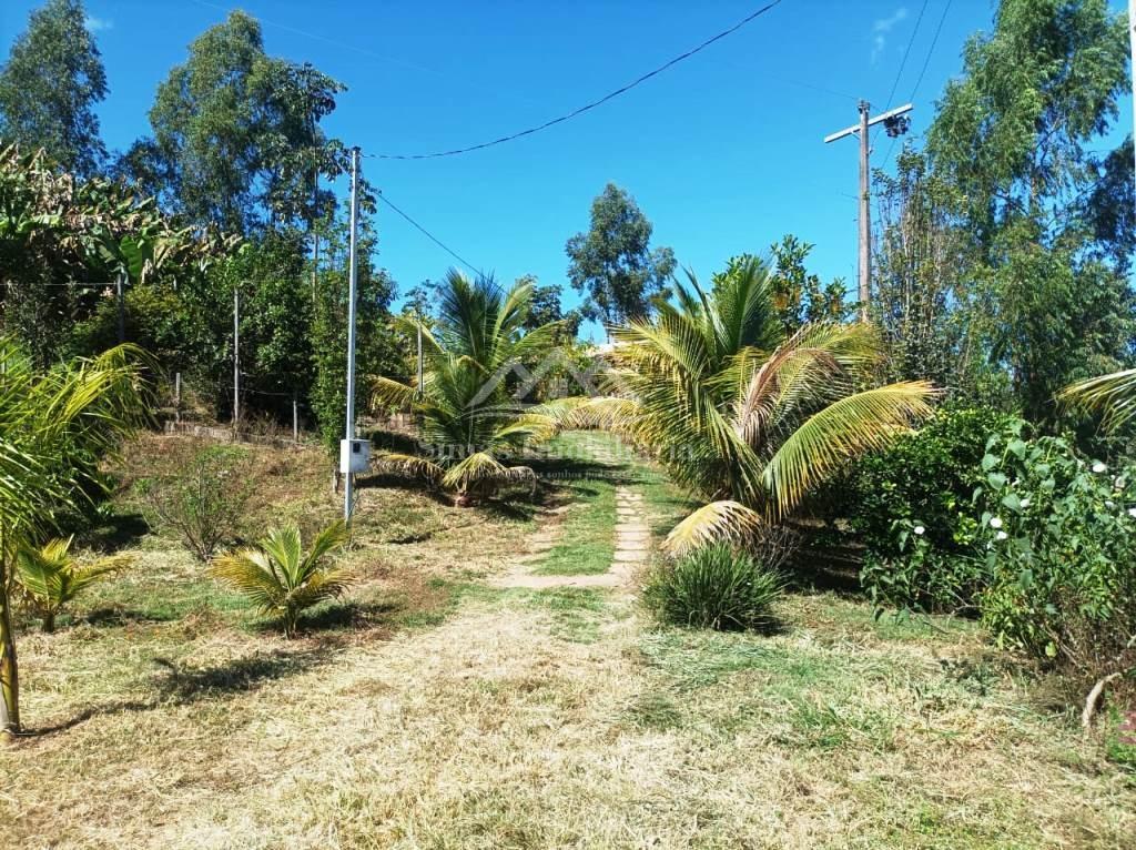 Fazenda, 8000 m² - Foto 8