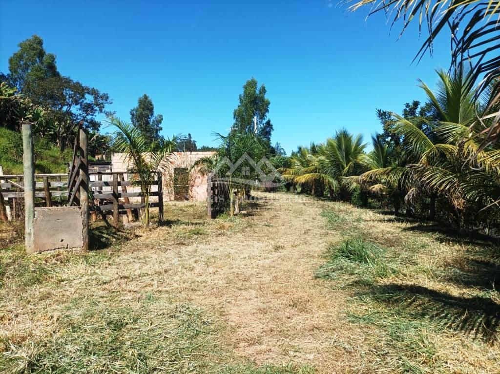 Fazenda, 8000 m² - Foto 4