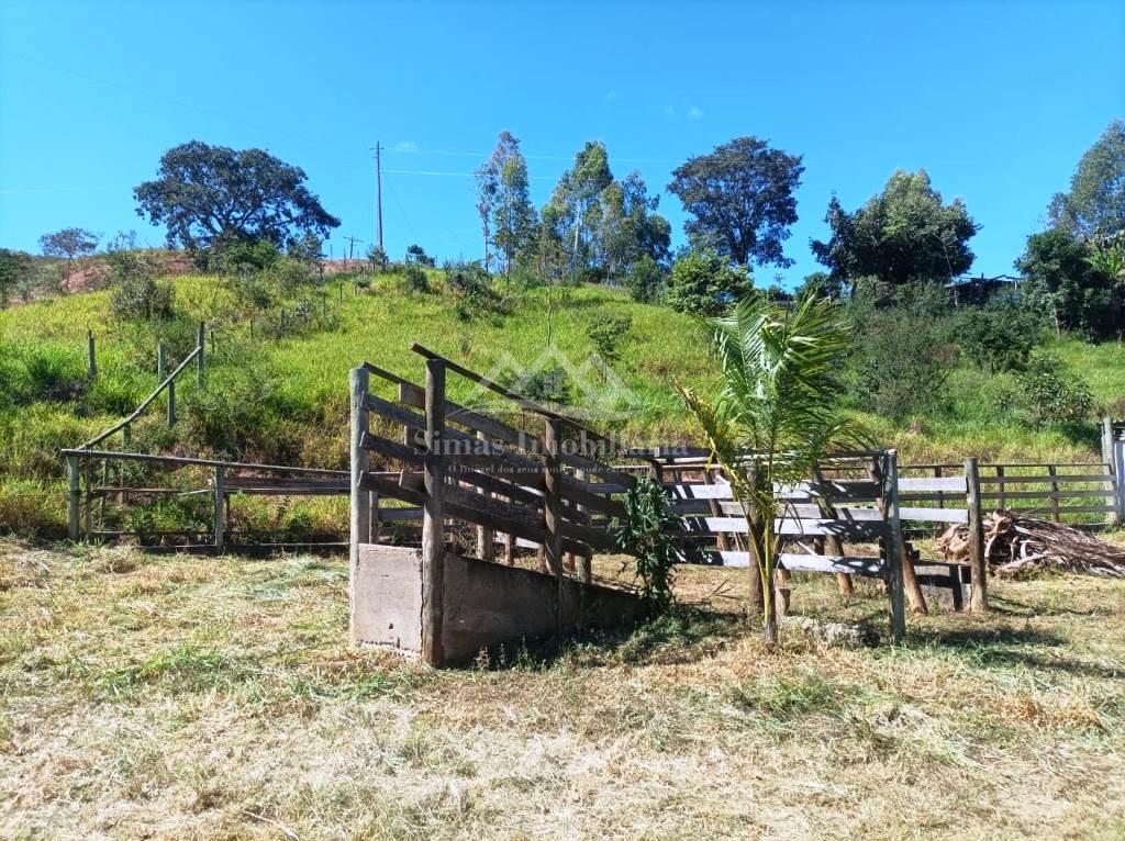 Fazenda, 8000 m² - Foto 3