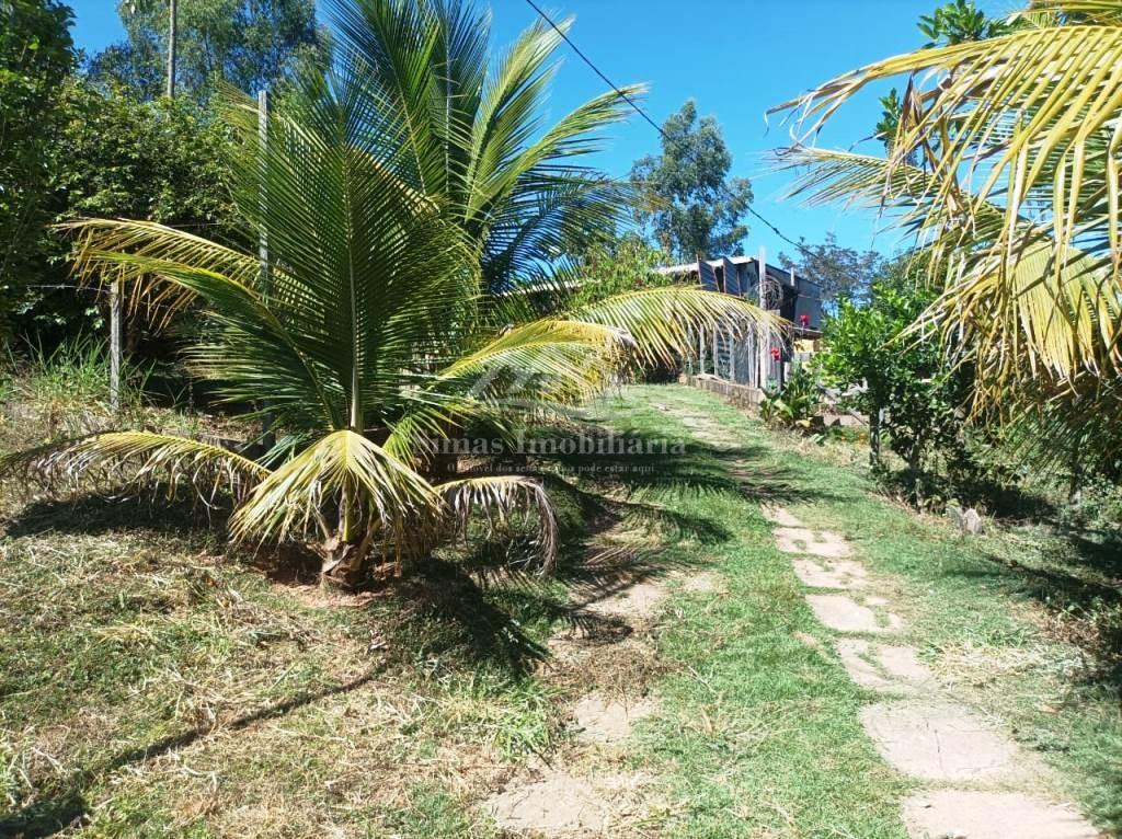 Fazenda, 8000 m² - Foto 10