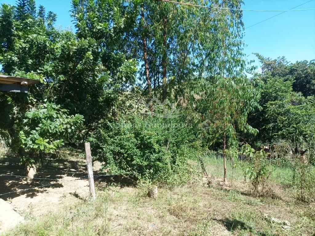 Fazenda, 8000 m² - Foto 30