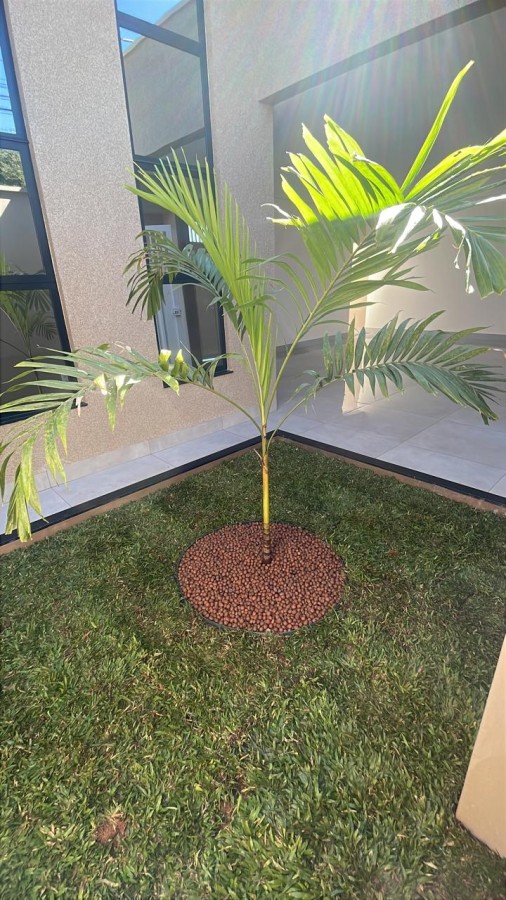 Casa, 3 quartos - Foto 19